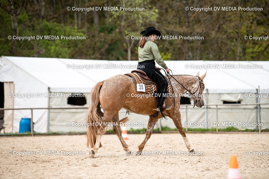 Heiligenwald Tag 1-793 | dv-media-shop - Realisiert mit Pictrs.com