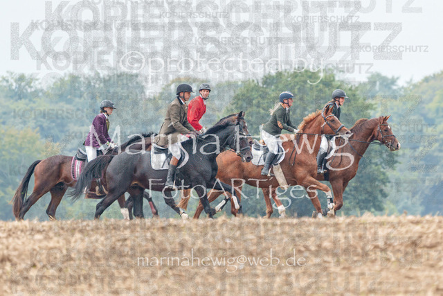 Jagd Perdoel_MarinaHewigMCH04267 | Fotografie, FotoArt, PferdesportArt, Pferdesportfotografie, Landschaftsfotografie, Reisefotografie, Reise, Pferde - Realisiert mit Pictrs.com