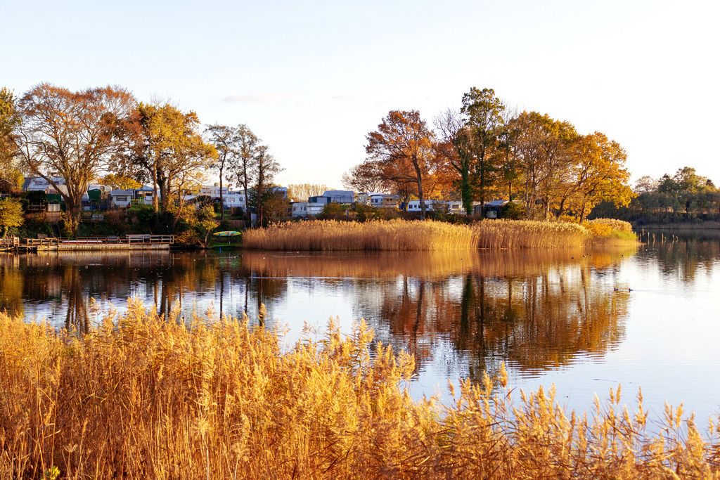 Wandbild: Herbststimmung in Lindaunis an der Schlei | Dieses Foto im Querformat zeigt das herbstliche Lindaunis. Im Vordergrund ist Schilf zu sehen. In der Ferne kann man auf einem kleinen Hügel im Uferbereich den Campingplatz erkennen. Die Bäume und der Schilf spiegeln sich schön im Wasser.  - Realisiert mit Pictrs.com