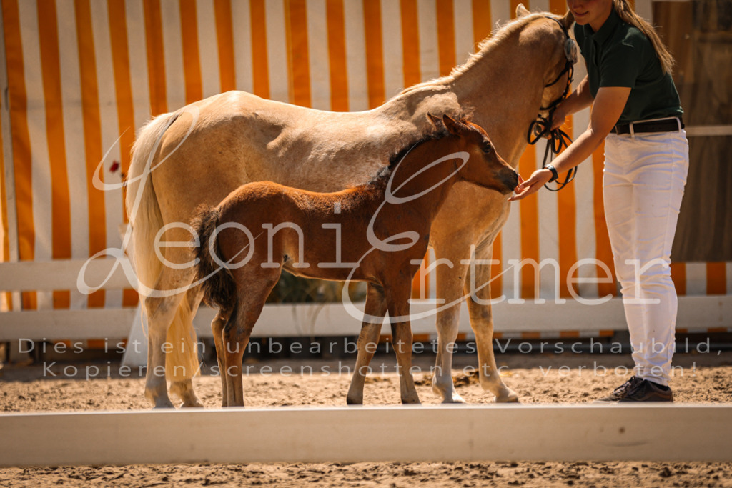 04.DoWP00054 | Leoni Ertmer Photography - Realisiert mit Pictrs.com