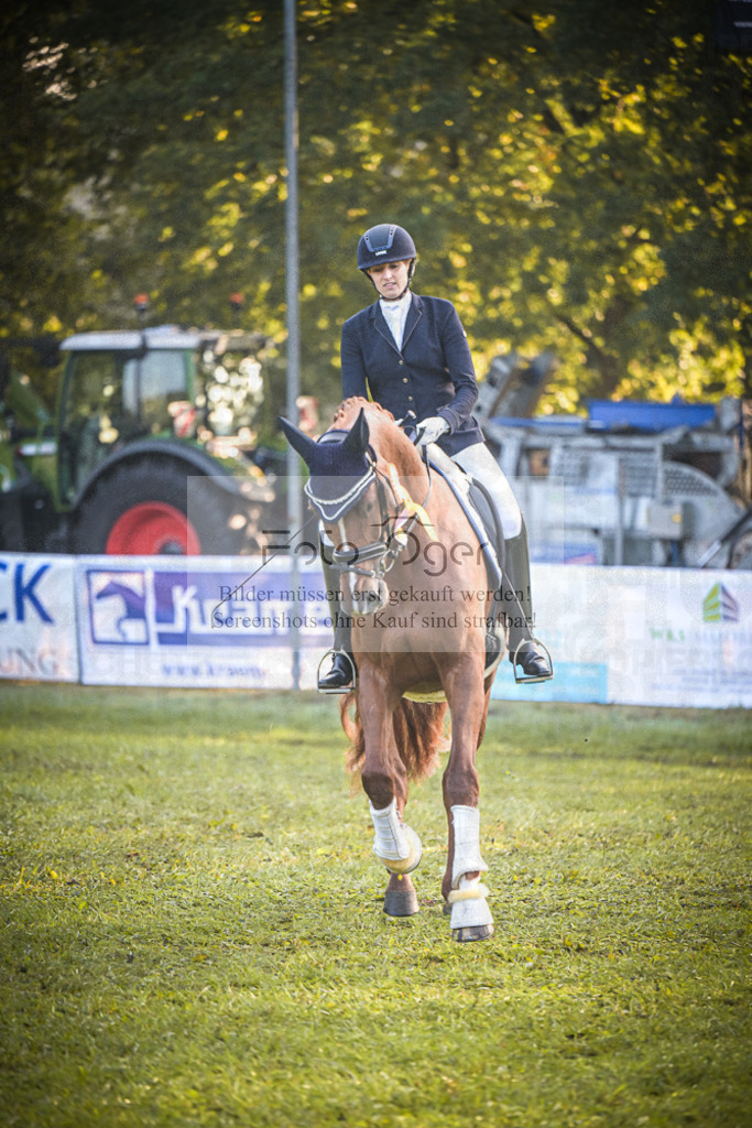 DOS_0059 | Entdecke hochwertige Reitturnierfotos von Foto Oger. Professionell, emotional und authentisch – jetzt Lieblingsmomente im Shop bestellen.Deutschlandweite Turnierfotografie. - Realisiert mit Pictrs.com