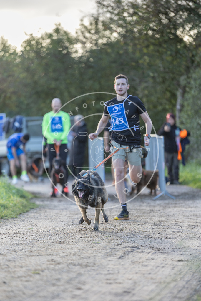 Pfotenfotografie.de_DV3A2746 | Hundefotografie, Tierfotograf, Pfotenfotografie, Fotoshooting Hund, Hunde Portrait, Hundesport, Hundeportraits, Heideshooting, Hunde, Sportfotograf, Hundefotograf, Turnierhundsport, THS, canicross - Realisiert mit Pictrs.com