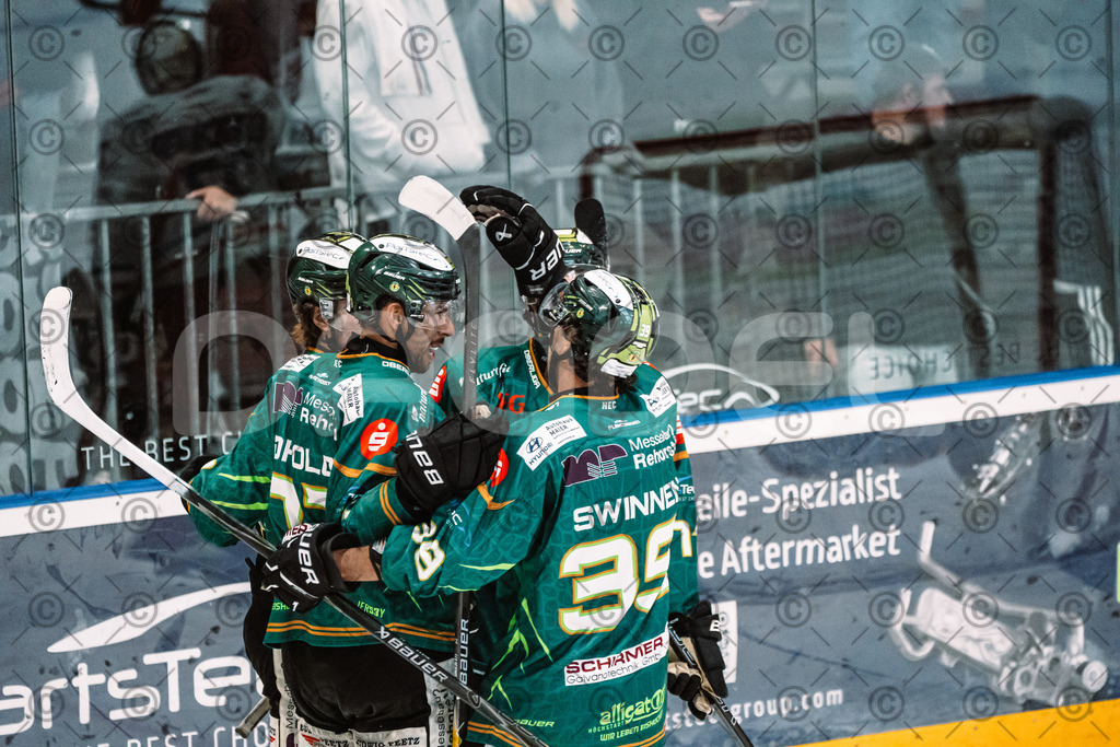 Alligators_vs_Selb_13_09_2026-44 | Die Fotogalerie von Daddel: professionelle Bilder von Sport, Events und Unternehmen aus Franken. Jetzt Galerien durchstöbern und Lieblingsfotos bestellen. - Realisiert mit Pictrs.com