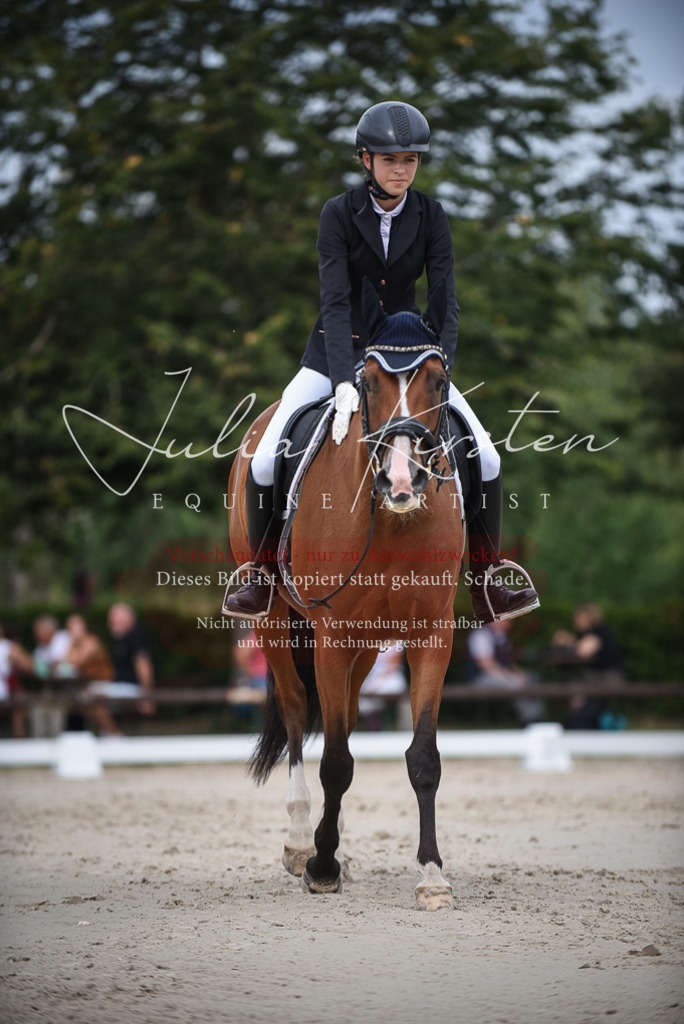 DSC_8434 | Pferde- und Turnierfotografie in Westsachsen. Pferdeportraits, Auftragszeichnungen und intuitive Kunst.