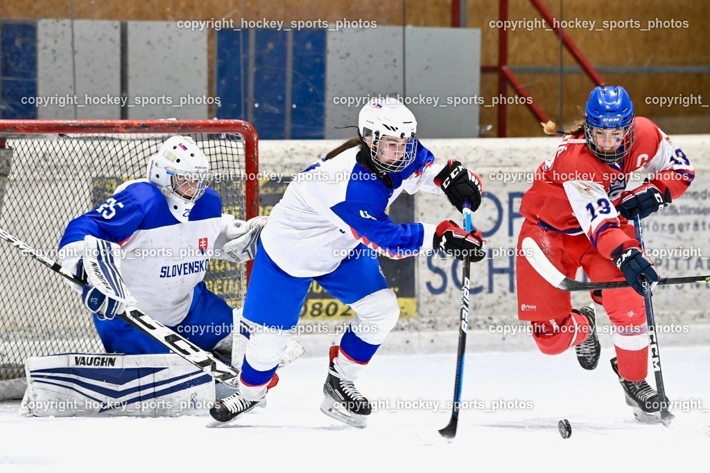 BST_5736 | hockey sports photos, Pressefotos, Sportfotos, hockey247, win 2day icehockeyleague, Handball Austria, Floorball Austria, ÖVV, Kärntner Eishockeyverband, KEHV, KFV, Kärntner Fussballverband, Österreichischer Volleyballverband, Alps Hockey League, ÖFB, 