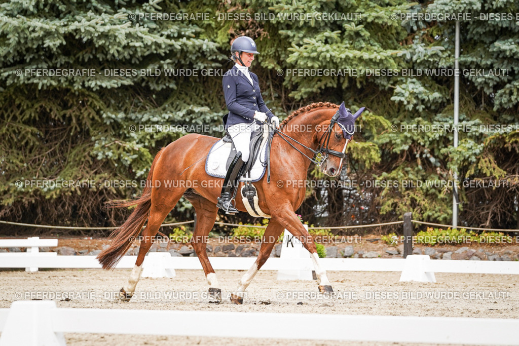 DSC05200 | Pferdegrafie