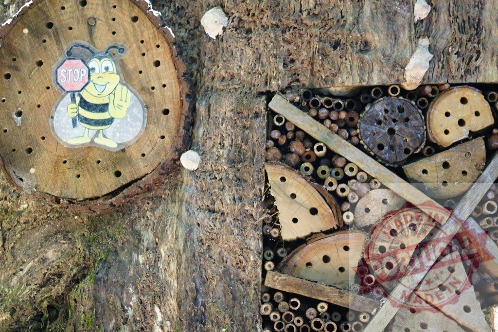 Bee hotel insect house concept for biodiversity conservation | Insect hotel with a cartoon bee sign promoting pollinator conservation - Realized with Pictrs.com