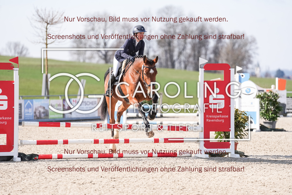 DSC05178 | Late_entry_Springturnier_Bad_Wurzach, Ciaco_Brown_YAH, Paulina_Herzog