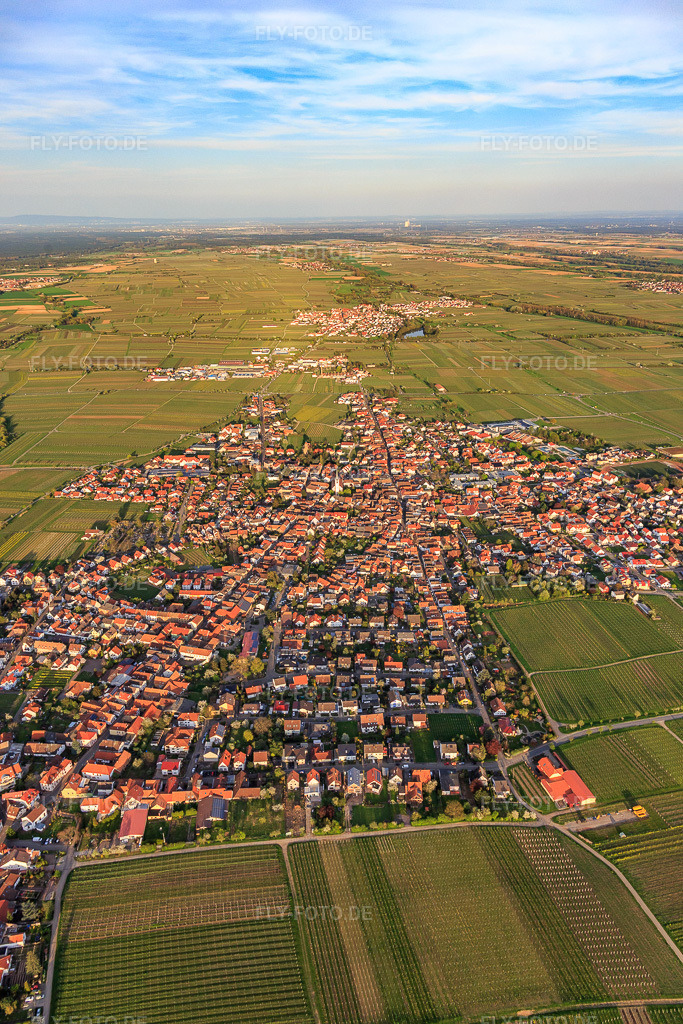 Luftbild: Stadtansicht im Frühling aus Westen in Maikammer im Bundesland Rheinland-Pfalz in Deutschland. Foto: IMG_106588.jpg vom 17.04.2018 durch Werner Riehm/FLY-FOTO.de