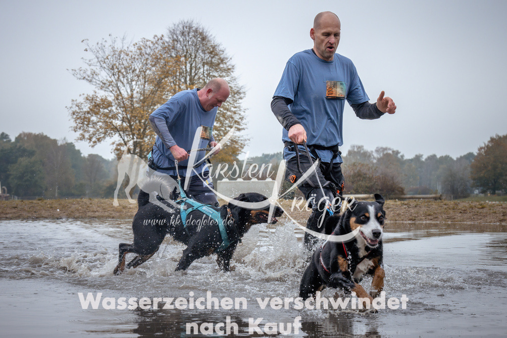 1010_ZZ98481 | kk-dogfotos
