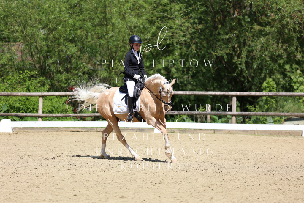 IMGS2911 | pl-fotografie