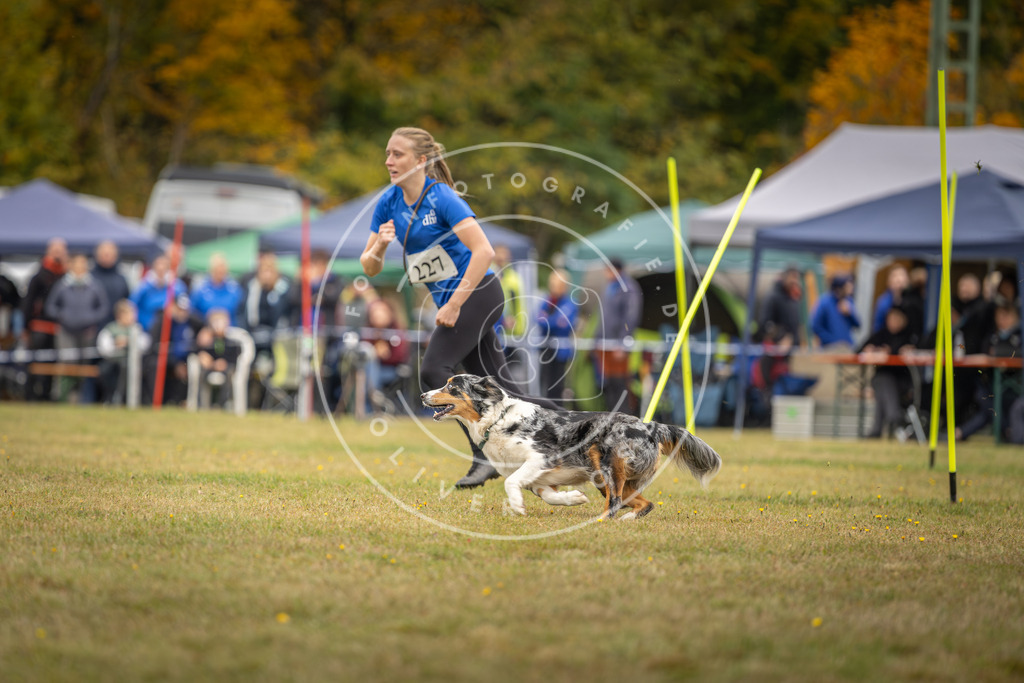 Pfotenfotografie_DV3A4019 | Hundefotografie, Tierfotograf, Pfotenfotografie, Fotoshooting Hund, Hunde Portrait, Hundesport, Hundeportraits, Heideshooting, Hunde, Sportfotograf, Hundefotograf, Turnierhundsport, THS,  - Realisiert mit Pictrs.com