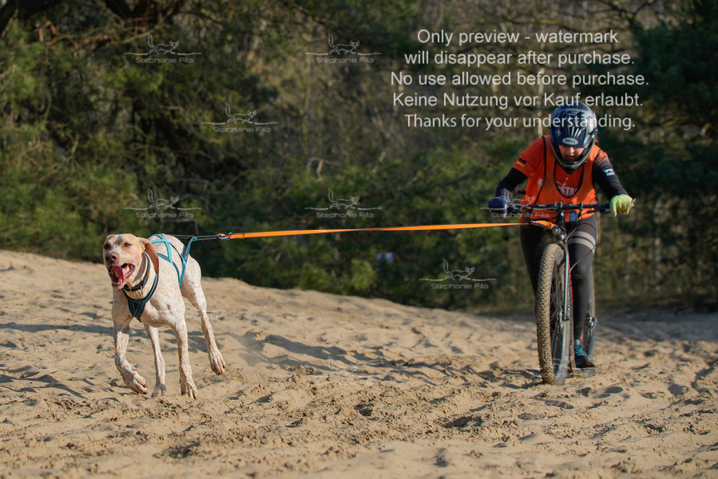 So_Scooter-233 | stephaniefillaphotographie - Realisiert mit Pictrs.com