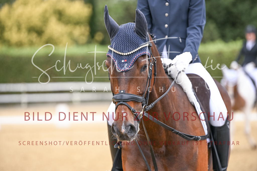 Schugtsche-Aluta25-44.DresssurreiterWB-121 | Schugtsche Fotografie - Realisiert mit Pictrs.com