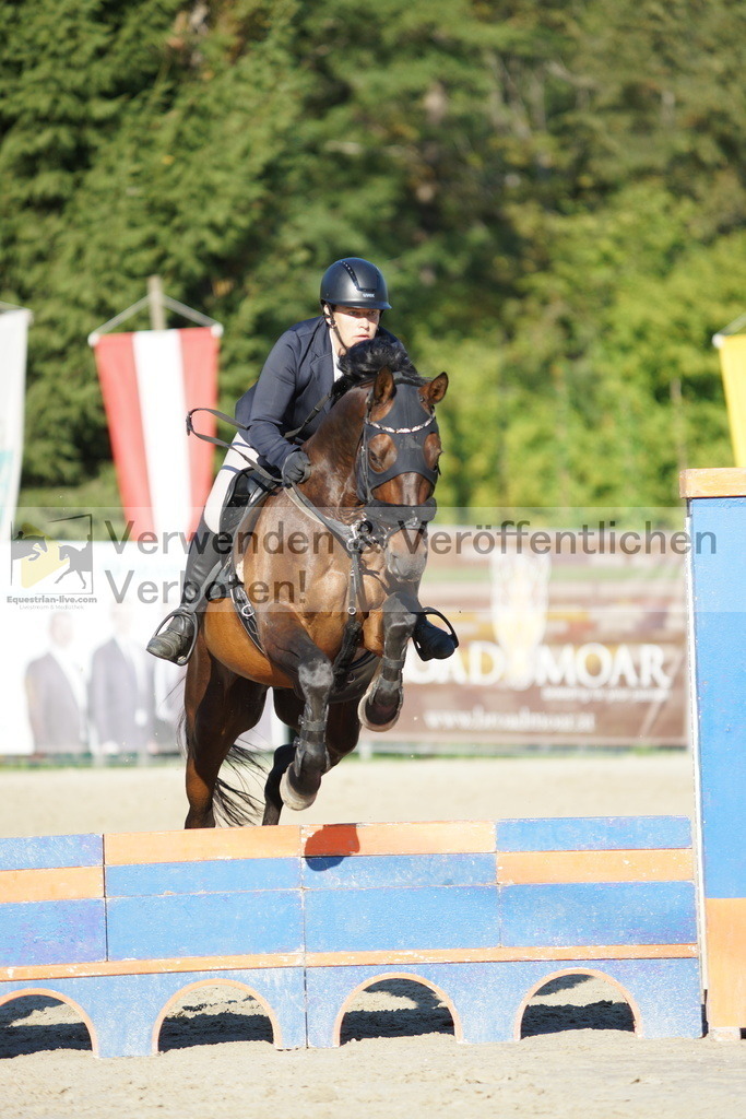 DSC09500 | equestrian-live-com