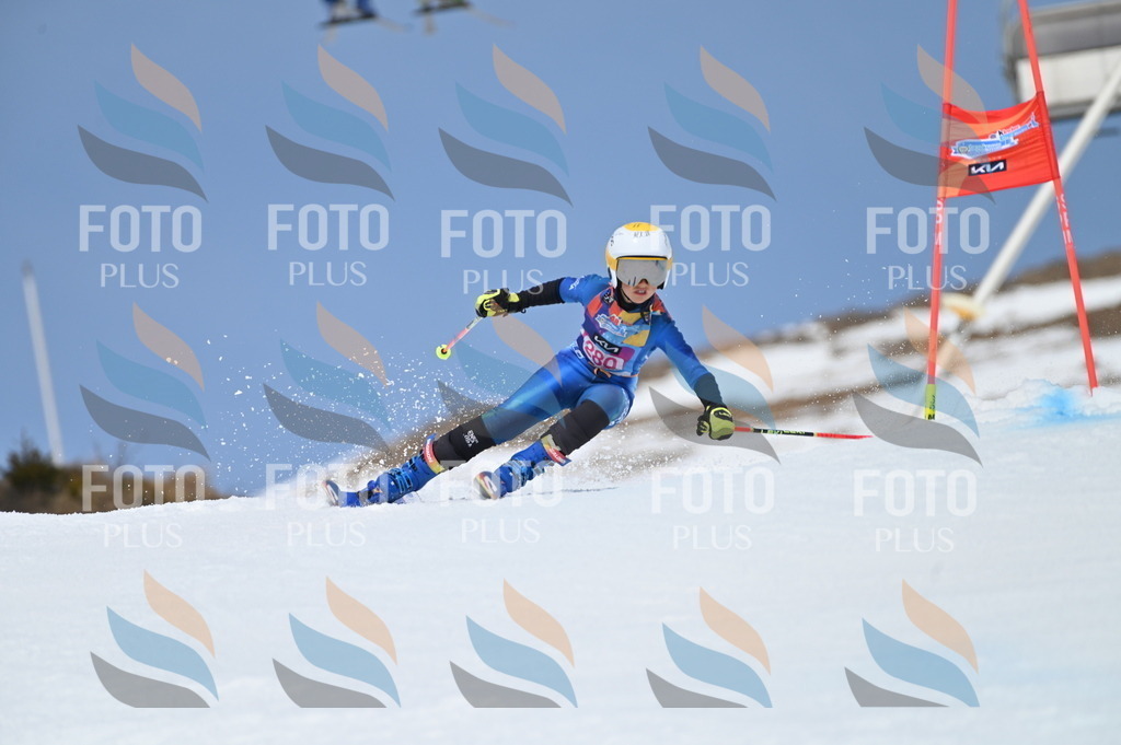 BGV_2397 | holidayphoto