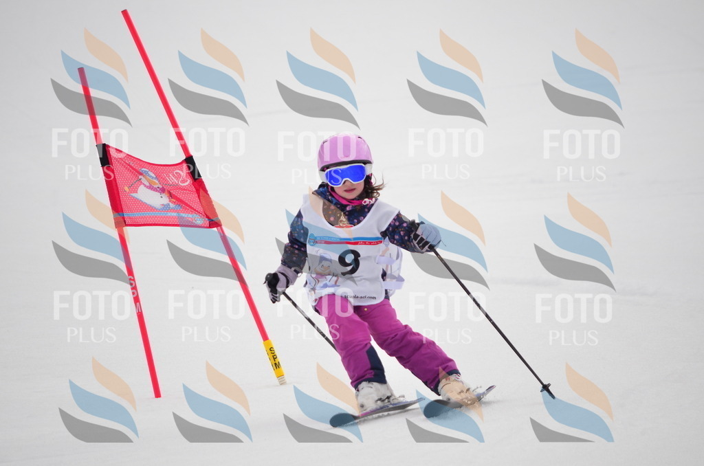 C0145 | holidayphoto