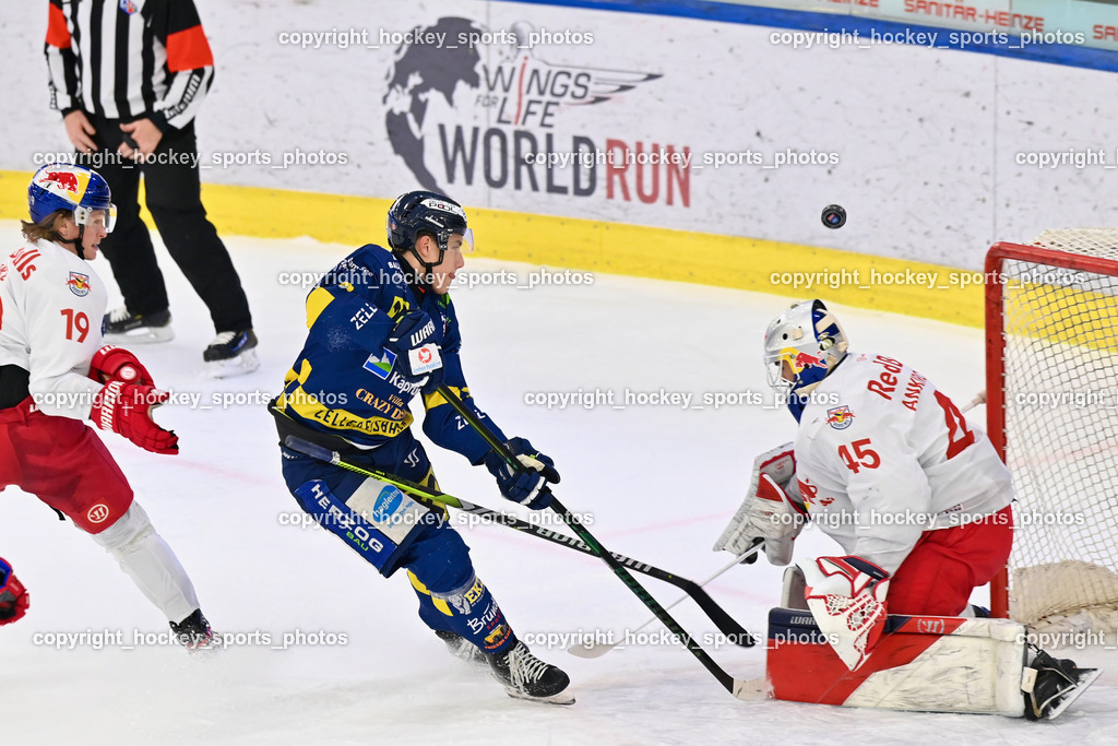 RED BULL HOCKEY JUNIORS vs. EK DIE ZELLER EISBÄREN | #19 Lemke Paul Bennet RED BULL HOCKEY JUNIORS, #8 Koschek Felix EK DIE ZELLER EISBÄREN, #45 Ankirchner Valentin RED BULL HOCKEY JUNIORS, RED BULL HOCKEY JUNIORS vs. EK DIE ZELLER EISBÄREN, RED BULL HOCKEY JUNIORS vs. EK DIE ZELLER EISBÄREN am 14.01.2025 in Salzburg (Eisarena Salzburg), Austria, (Photo by Bernd Stefan)