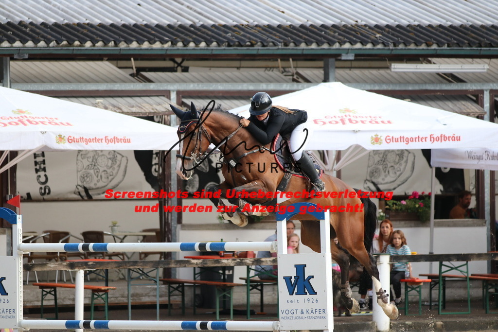 IMG_8649 | lmwpictures - Realisiert mit Pictrs.com