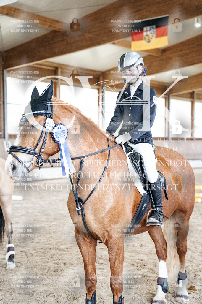 CK703416 | Turnierfotografie Pferdefotografie Trier Rheinland-Pfalz Pferdesport Reitsport Tierfotografie Sportfotografie Pferdevideo Pferdevideografie Equestrianvideography equestrianphotography  - Realisiert mit Pictrs.com