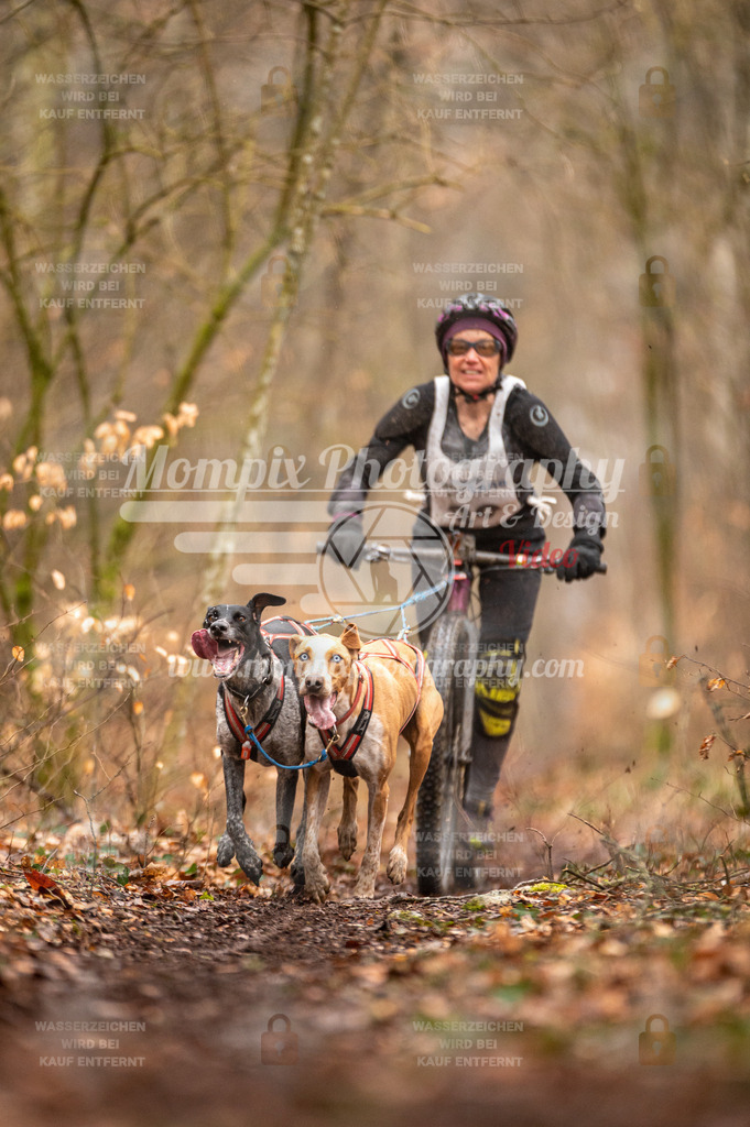 Reiat2023_SON_DS2_5km_2H-11 | mompixphotography