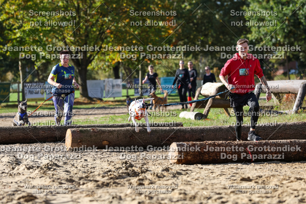 Dog Paparazzi - Strongdog 10-25-4823 | Dog Paparazzi Jeanette Grottendiek Fotografie & Videografie - Realisiert mit Pictrs.com