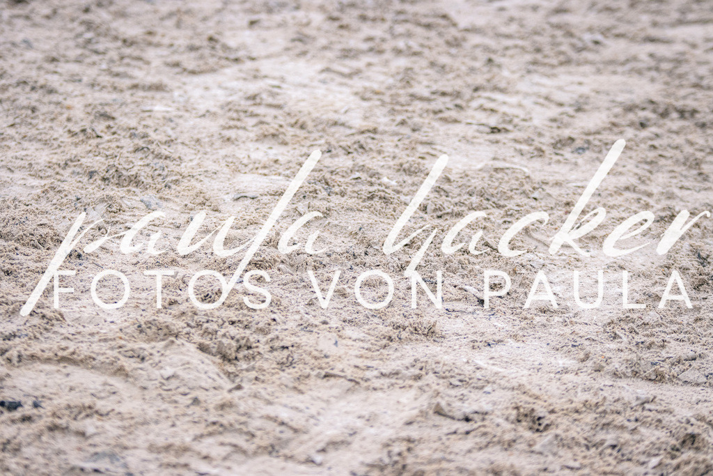 IMG_4763 | Erleben Sie dynamische Sport- und emotionale Tierfotografie in Süddeutschland mit Fotos von Paula. Spezialisiert auf Pferde- und Hundefotografie sowie Sportevents. Kontaktieren Sie mich für einzigartige und ausdrucksstarke Bilder Ihrer besonderen Momente. - Realisiert mit Pictrs.com