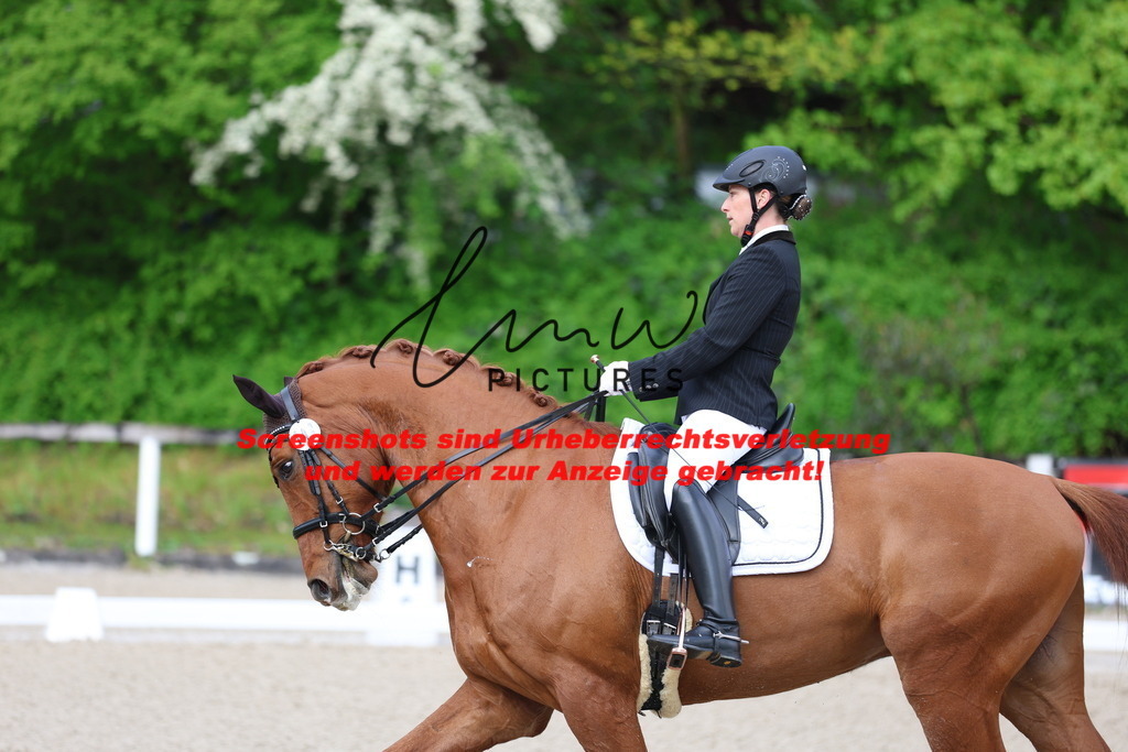 A40A0082 | lmwpictures - Realisiert mit Pictrs.com