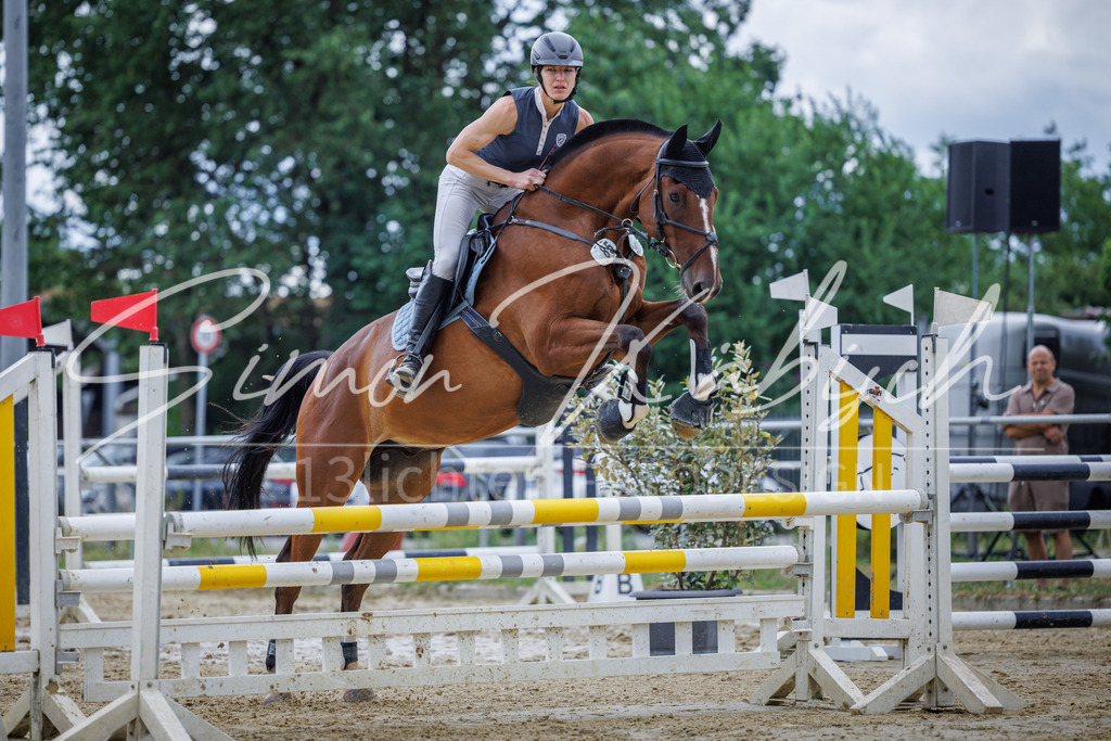 20260705-_3LI5912 | Tierfotografie Pferde, Hunde, Katzen, Haustiere.
Turnierfotografie Reitturniere, Reiten, Springreiten, Dressur in Hanau, dem Main-Kinzig-Kreis und dem Rhein-Main- Gebiet um Frankfurt