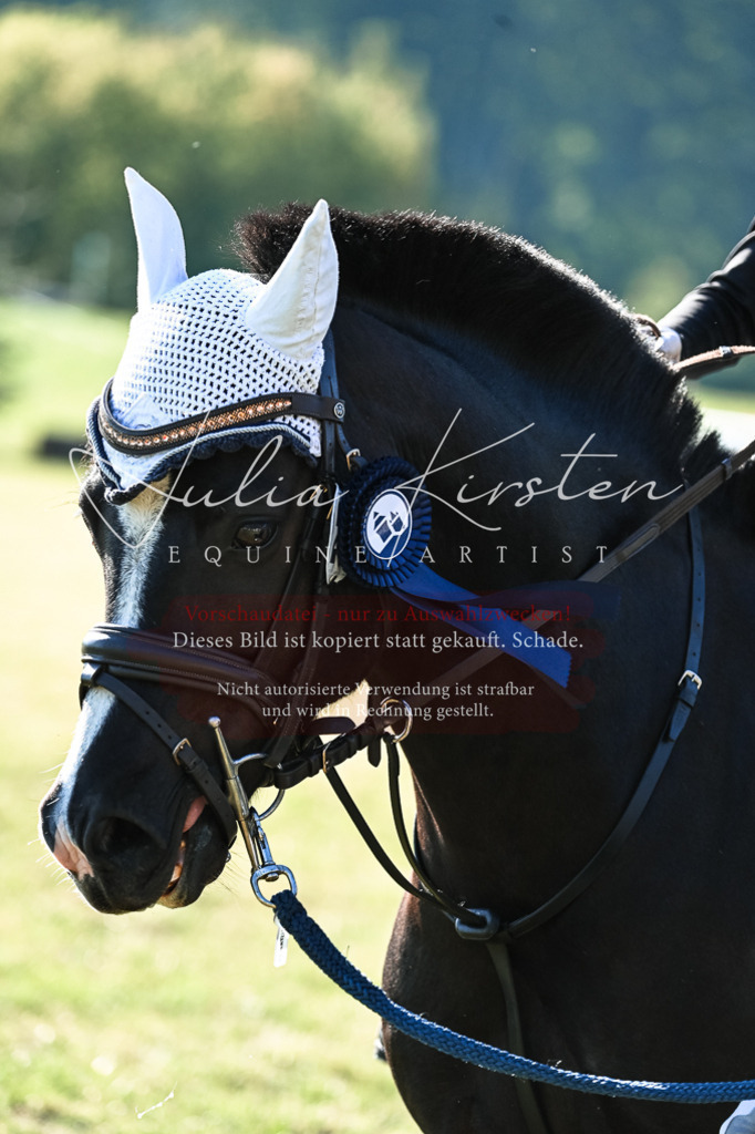 DSC_0528 | Pferde- und Turnierfotografie in Westsachsen. Pferdeportraits, Auftragszeichnungen und intuitive Kunst.
