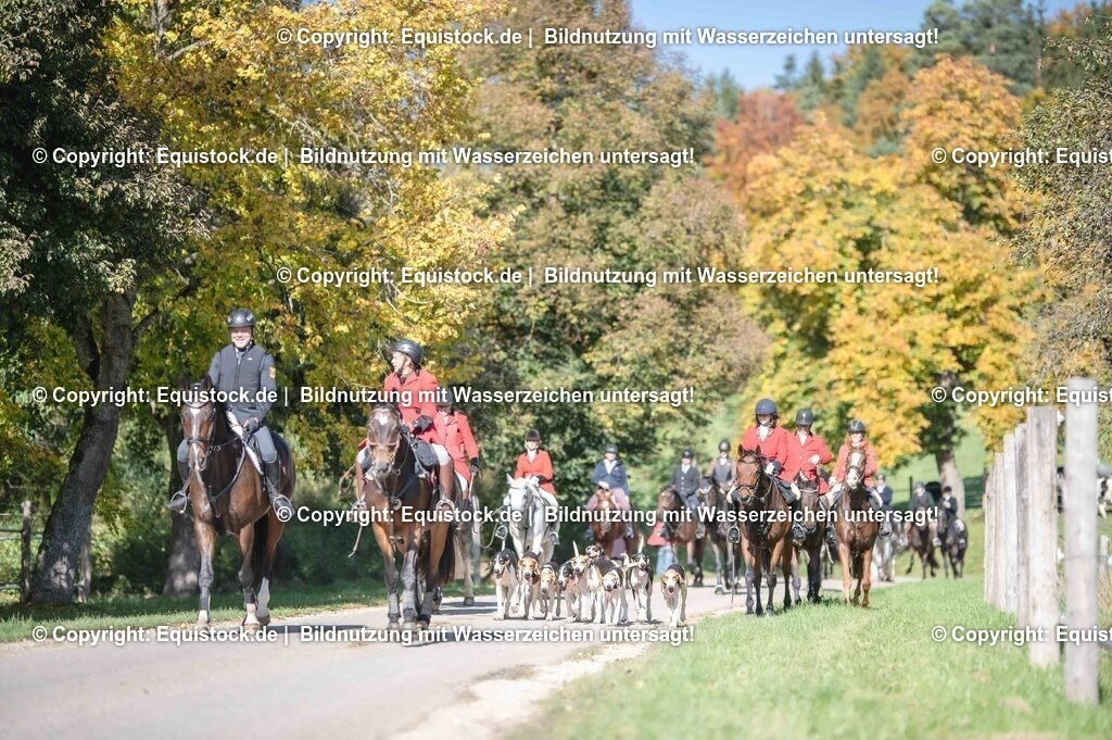 20251011_Jagd-Marbach_0586 | Foto: Thomas Hartig