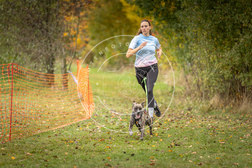 Pfotenfotografie_DV3A4832 | Hundefotografie, Tierfotograf, Pfotenfotografie, Fotoshooting Hund, Hunde Portrait, Hundesport, Hundeportraits, Heideshooting, Hunde, Sportfotograf, Hundefotograf, Turnierhundsport, THS,  - Realisiert mit Pictrs.com
