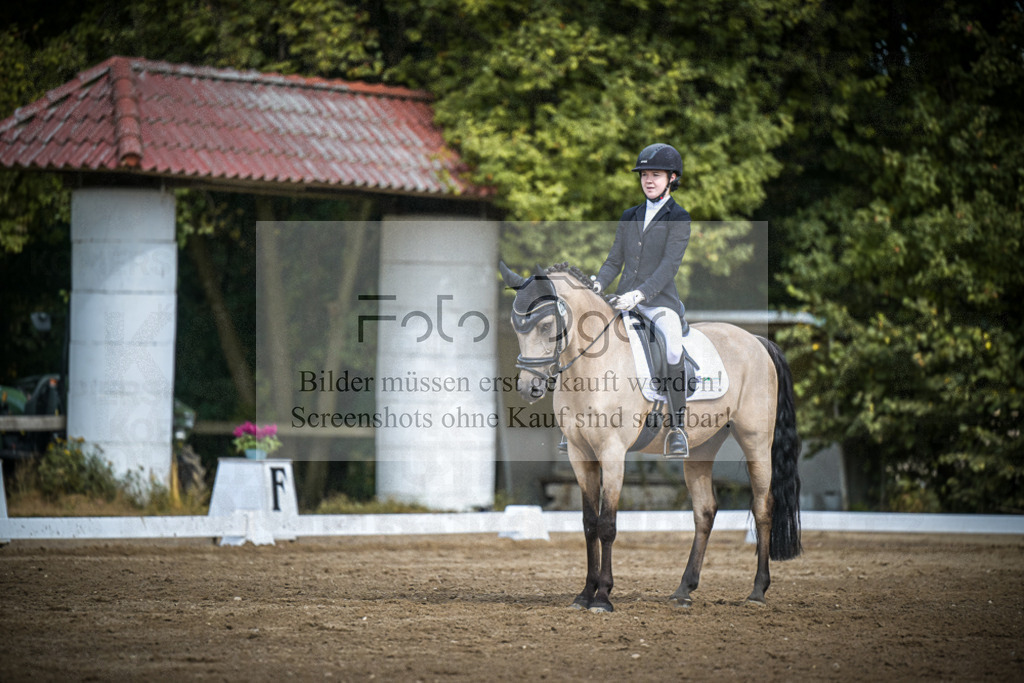 DOS_0609 | Entdecke hochwertige Reitturnierfotos von Foto Oger. Professionell, emotional und authentisch – jetzt Lieblingsmomente im Shop bestellen.Deutschlandweite Turnierfotografie. - Realisiert mit Pictrs.com