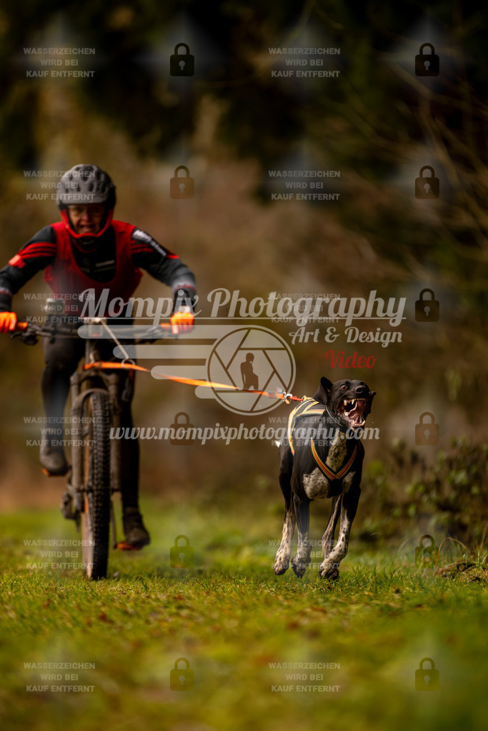 MompixPhotography_2SSTSSBW_2025_SO_Bike-28 | PayLife