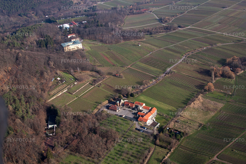 Luftbild: Wohlfühlhotel Alte Rebschule und Villa Ludwigshöhe in Rhodt unter Rietburg im Bundesland Rheinland-Pfalz in Deutschland. Foto: IMG_61565.jpg vom 18.01.2014 durch Werner Riehm/FLY-FOTO.de