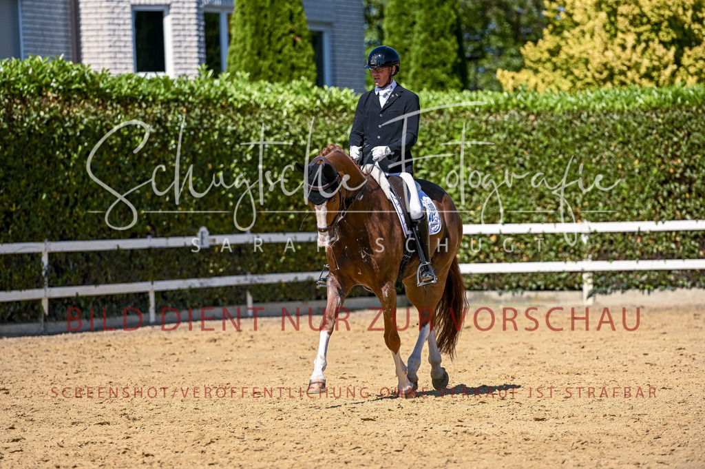 Schugtsche-Aluta25-50.Dressurpferdeprf.L-4 | Schugtsche Fotografie - Realisiert mit Pictrs.com