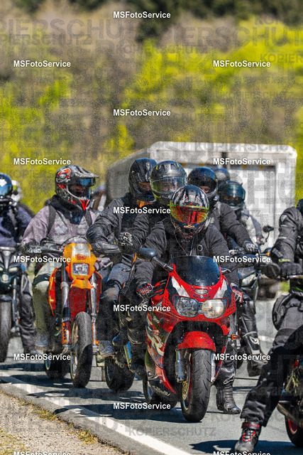 MSFotoServiceXXX378 | MSFotoService - Realisiert mit Pictrs.com