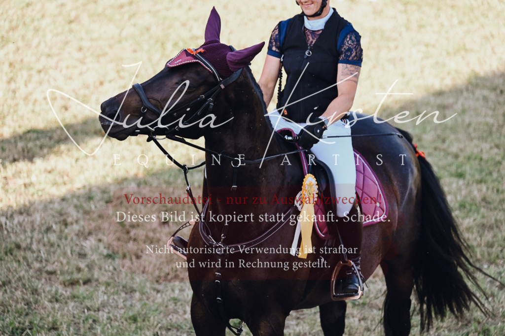 DSC_3290 | Pferde- und Turnierfotografie in Westsachsen. Pferdeportraits, Auftragszeichnungen und intuitive Kunst.