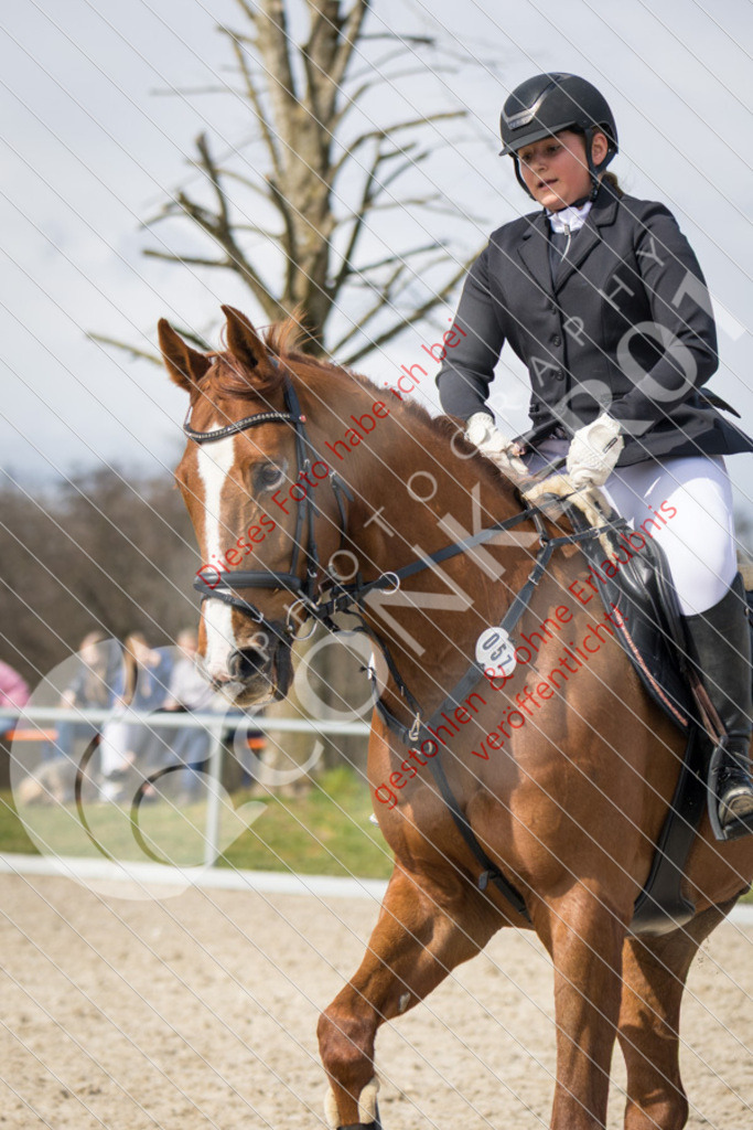 IMG_4217 | Sport-, Event- und Tierfotos in Profiqualität. Einfach auswählen, bestellen und herunterladen. Dein Moment – perfekt festgehalten.
