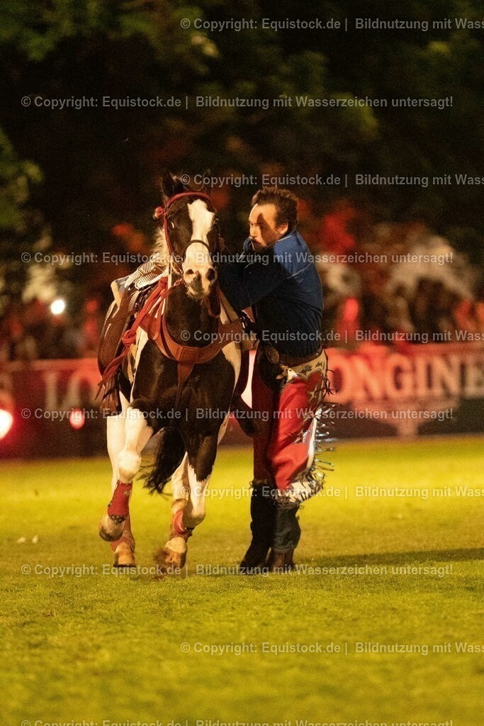20230526_Pferdenacht_1273 | equistock