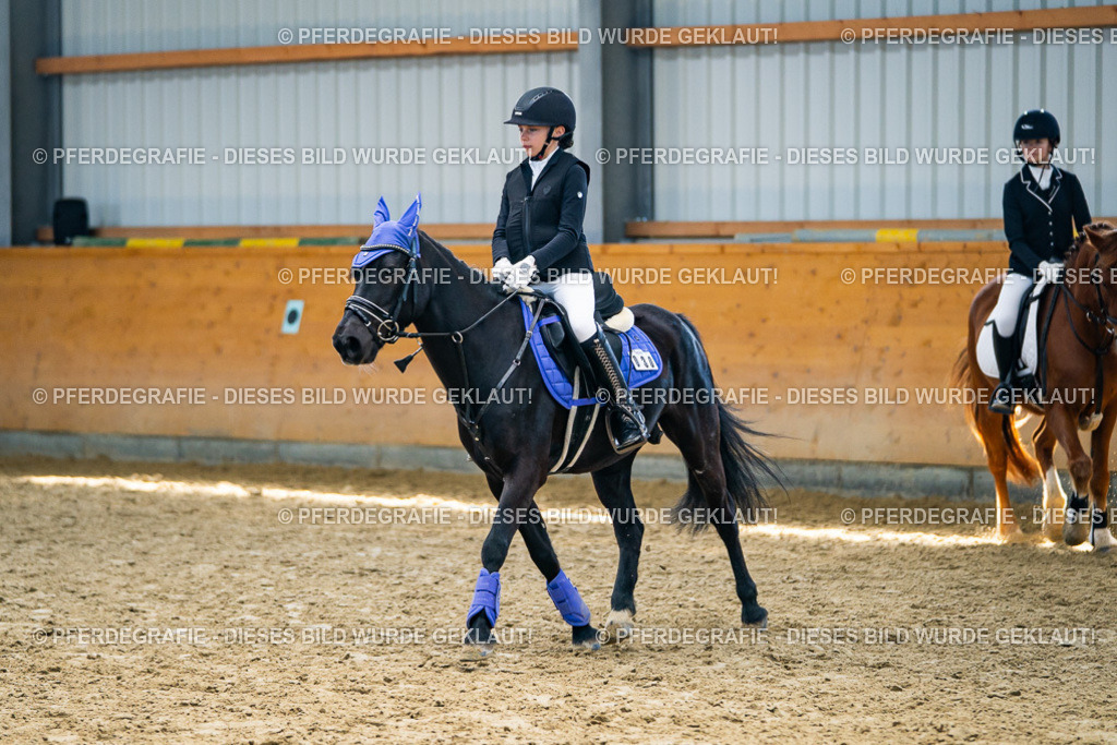 DSC02097 | Pferdegrafie