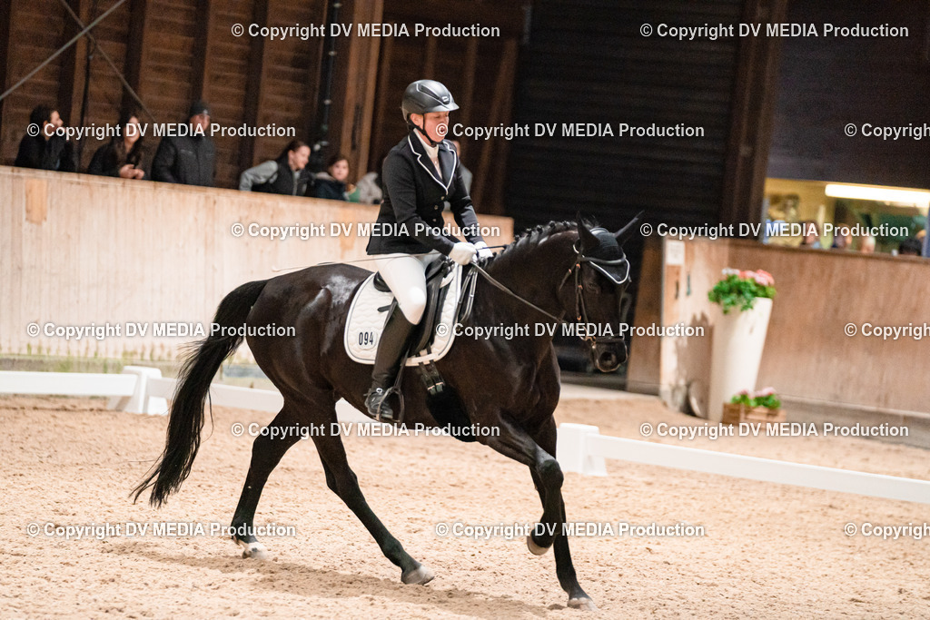 Dressur Tag 1 -465 | dv-media-shop - Realisiert mit Pictrs.com