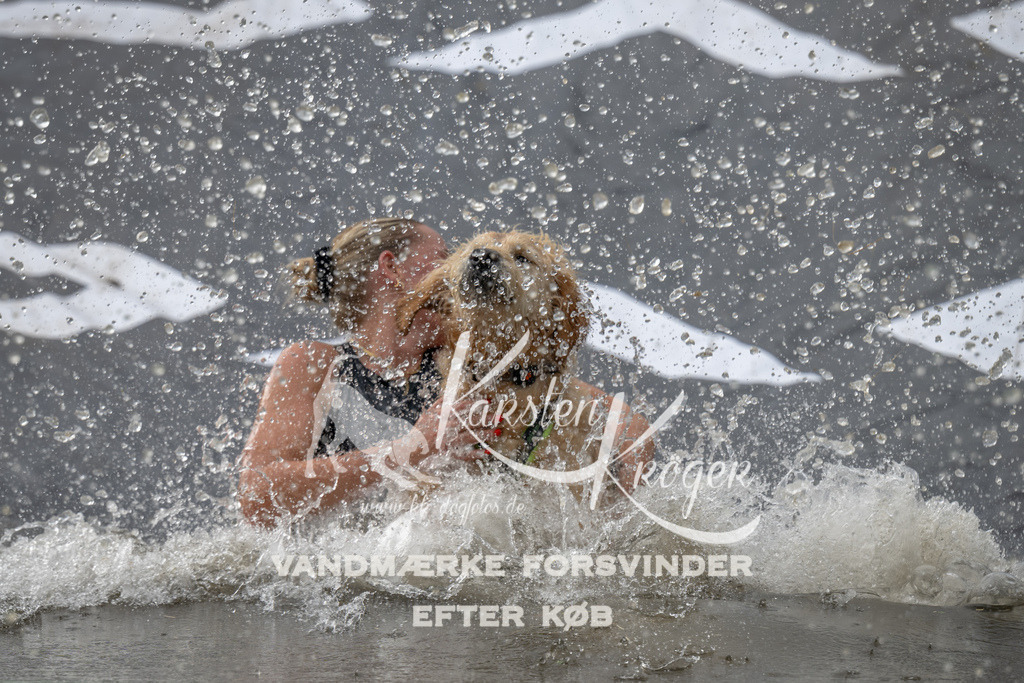 1146_ZZ93431 | kk-dogfotos