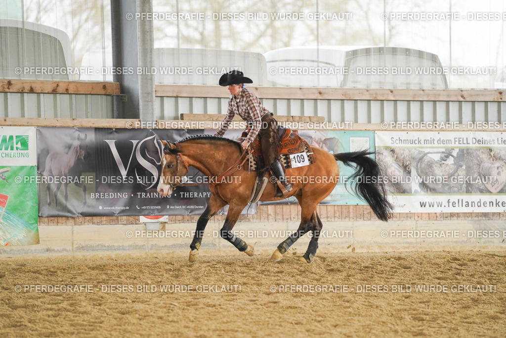 DSC05623 | Pferdegrafie