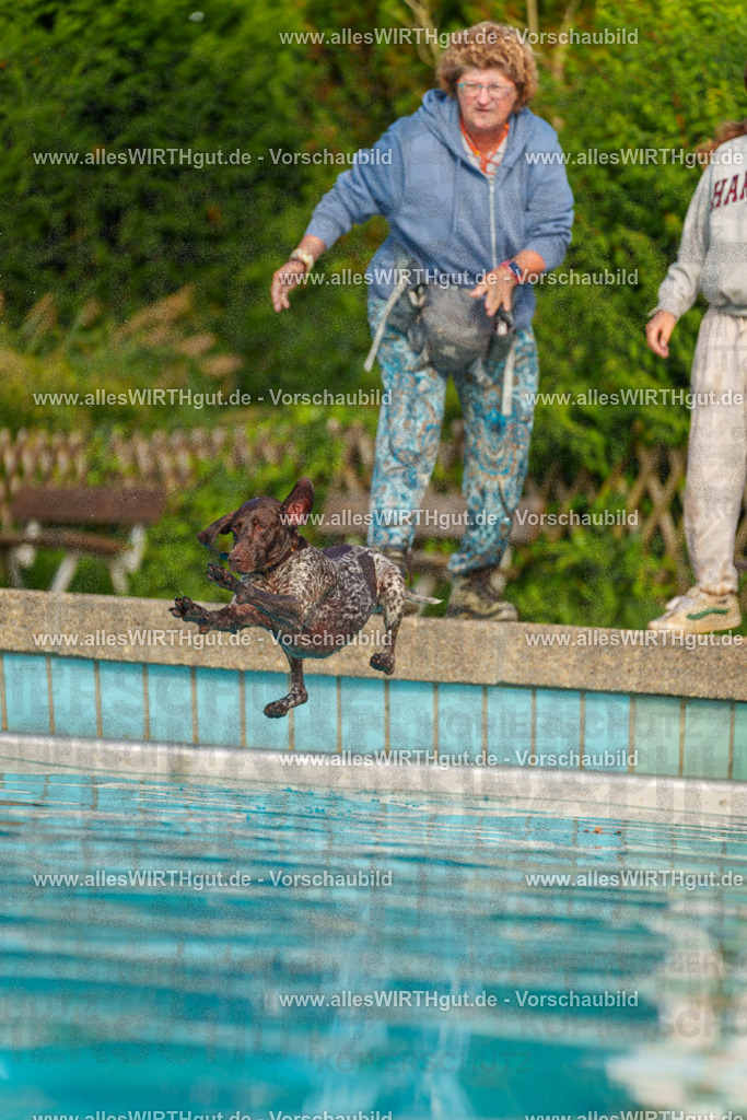 Hundeschwimmen_Grefrath_2026-allesWIRTHgut_Tierfotografie-09_09-7R502169 | Professionelle Tierfotografie in Mönchengladbach von Daniel Wirth (allesWIRTHgut). Liebevolle & natürliche Bilder von Hunden & Katzen für unvergessliche Erinnerungen.