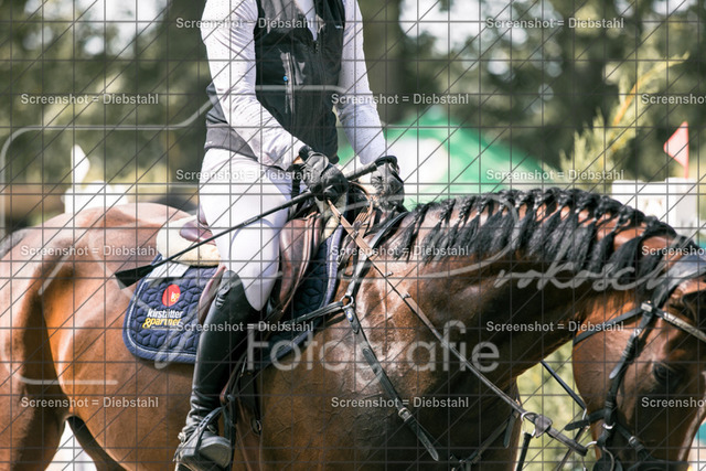 _W6A0776 | ronjaprokoschfotografie - Realisiert mit Pictrs.com