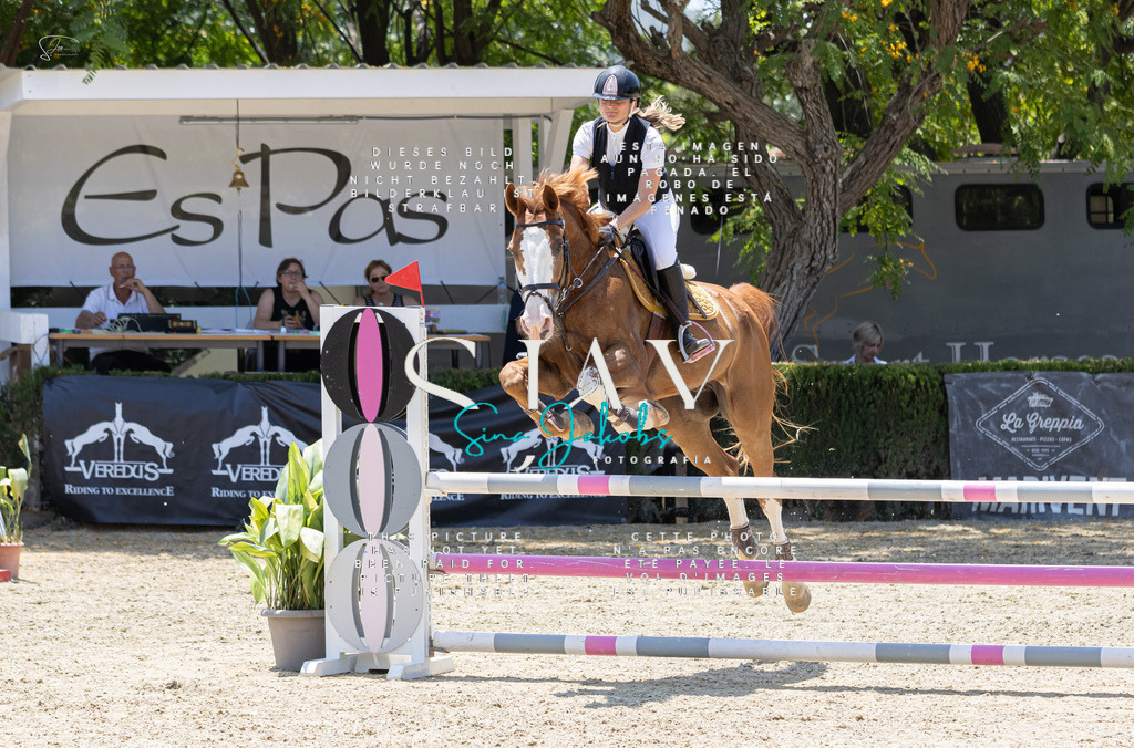 IMG_1543 | s-jay-photography - Realisiert mit Pictrs.com