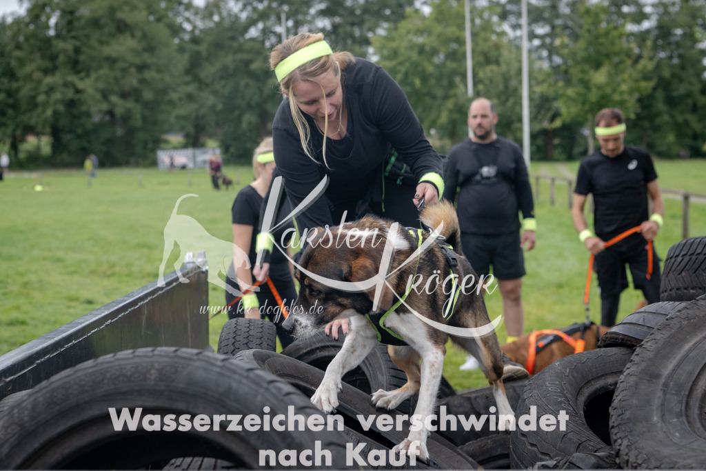 1233_ZZ91263 | kk-dogfotos