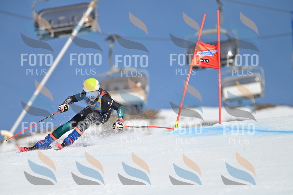 BGV_9206 | holidayphoto