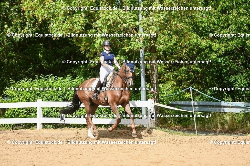 20230716_01_Dressurprüfung Kl.M_0370 | equistock